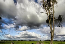 MK体育：七人制橄榄球——香港国际赛邀请赛：中国队不敌中国香港队.