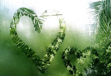 MK体育：[CBA]韦瑟斯庞持球进攻 中路三分手感火热.