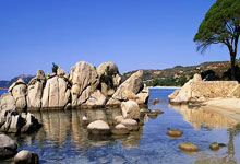 MK体育：七人制橄榄球——香港国际赛邀请赛：中国队不敌中国香港队.